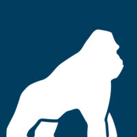 Health Gorilla Lab Network Logo